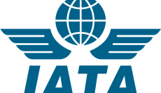 6.5% surge in domestic travel demand: IATA